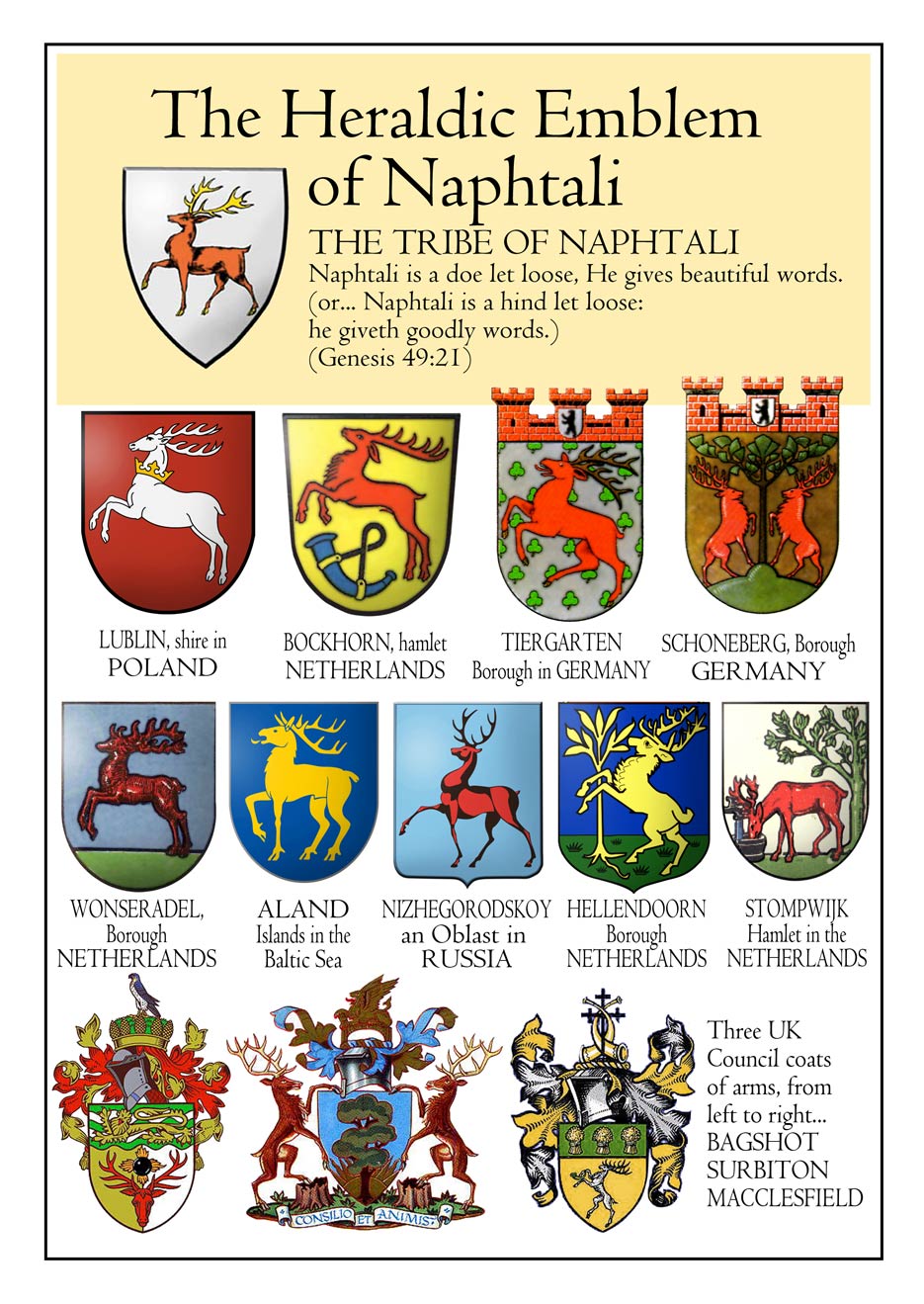 Emblems of the Tribe of Naphtali